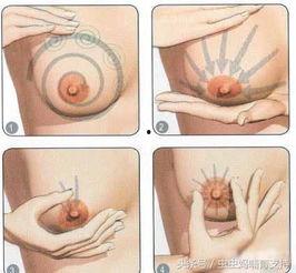 乳头乳汁小说在线视频